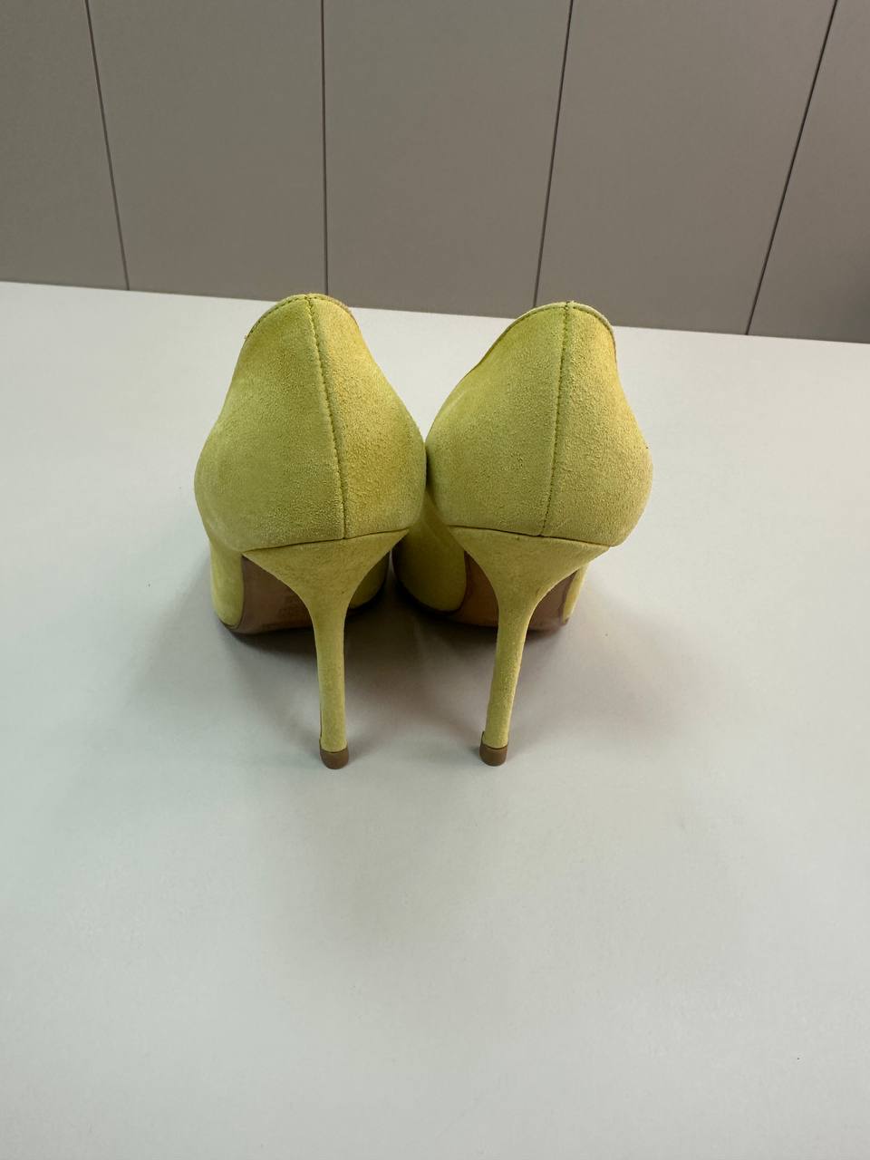 POLLINI