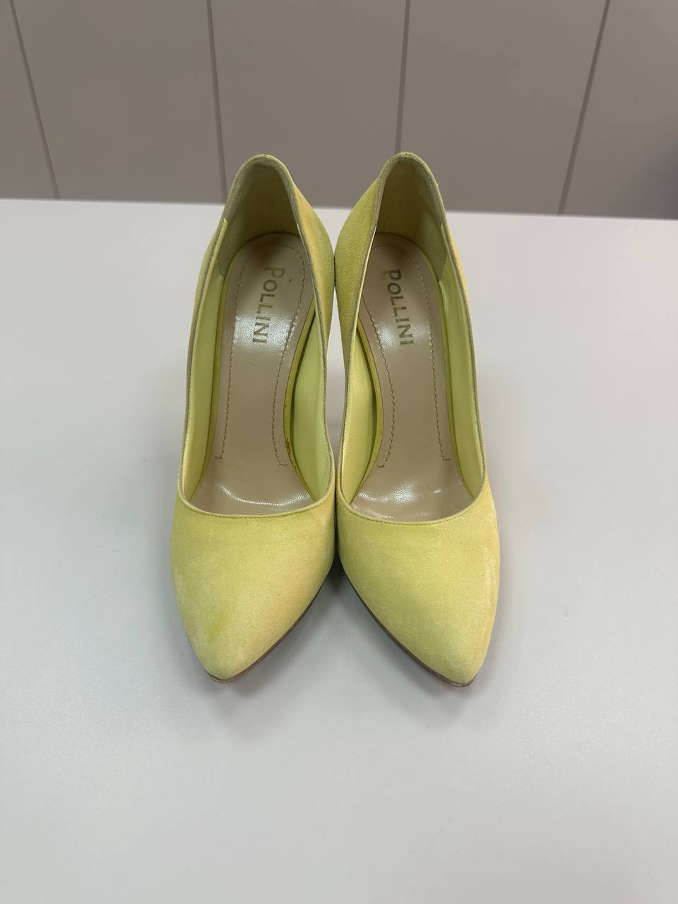 POLLINI