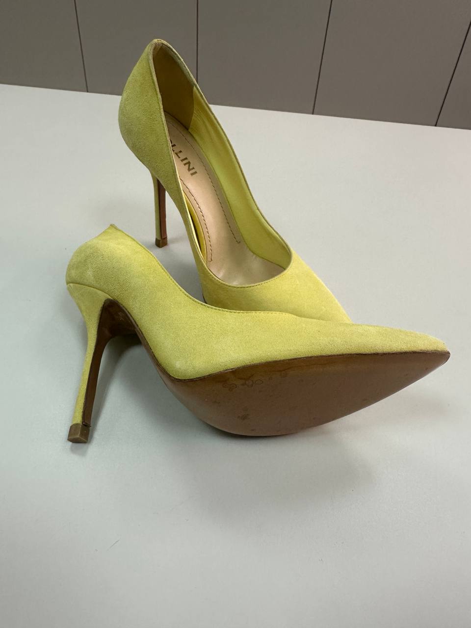 POLLINI