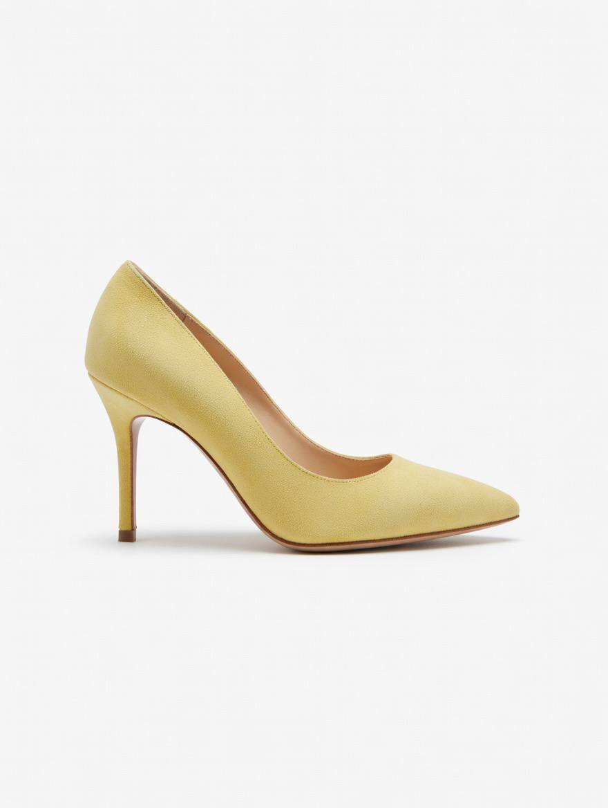 POLLINI
